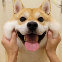 风提裙摆 