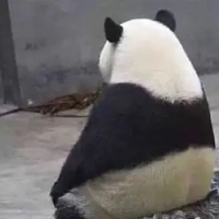 飞云逐月