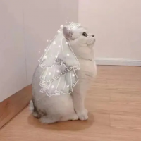 当星星没有光 