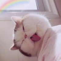 扯淡的人生